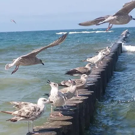 公寓 Royal Maris 2 - Najlepsza Lokalizacja W Ustce, Blisko Plazy I Portu, Bezplatny Parking, Scicsle Centrum 乌斯特卡