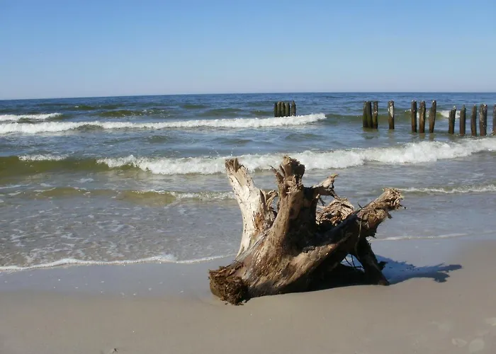 Royal Maris 2 - Najlepsza Lokalizacja W Ustce, Blisko Plazy I Portu, Bezplatny Parking, Scicsle Centrum *